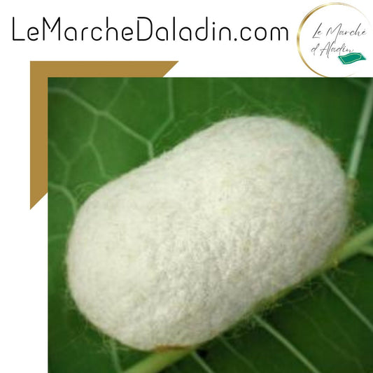 L’Histoire Fascinante de la Soie - Le Marche d'Aladin